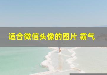 适合微信头像的图片 霸气